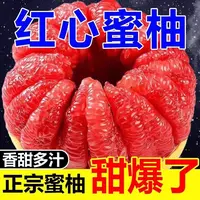 书记福建平和琯溪红心蜜柚新鲜采摘当季柚子水果皮薄肉厚香甜多汁