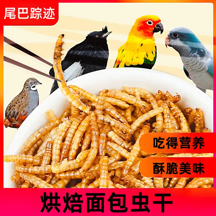 面包虫鸟食鹦鹉零食小仓鼠零食面包虫干芦丁鸡饲料金丝熊主粮鸟粮