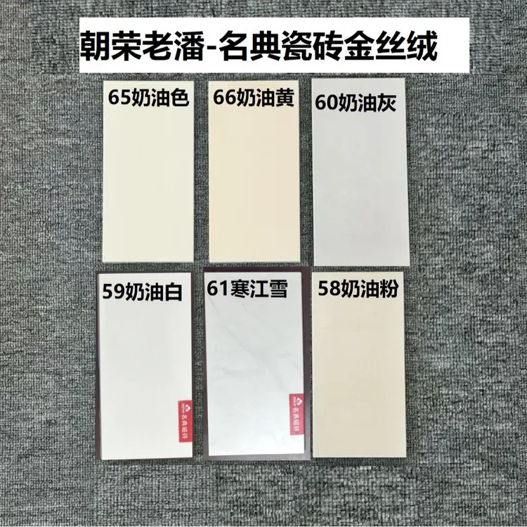 2新款6.0金丝绒柔光砖超白坯体抗污易打理金丝绒奶油风客餐厅地砖