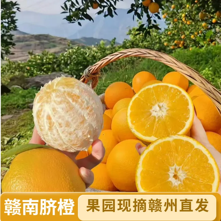 脐橙子赣南脐橙10斤装薄皮江西产地直发正宗果园直供大果20斤一箱