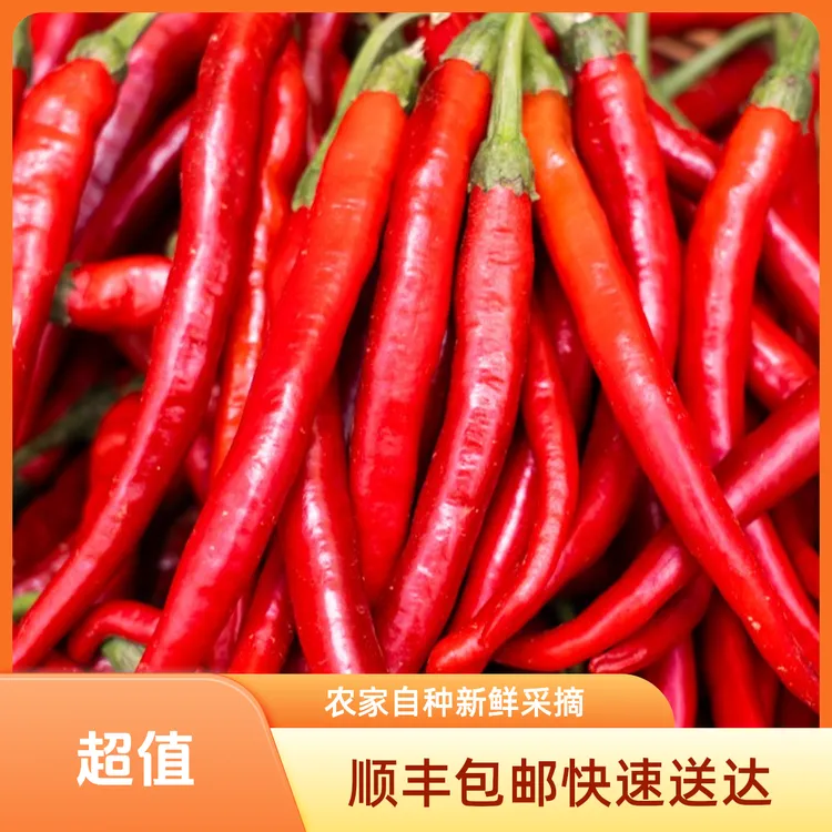 （顺丰包邮）农家自种新鲜红辣椒现摘现发可做剁椒泡椒辣椒酱