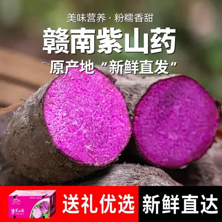 农家种植现挖当季新鲜蔬菜赣南紫山药淮山药营养山药脚板薯大薯