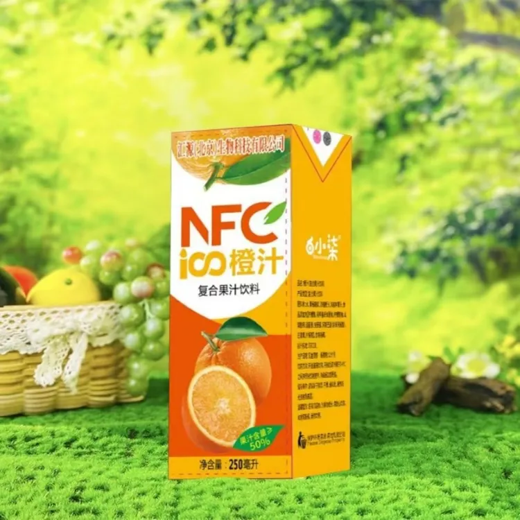 【橙汁】经典橙汁饮料果汁饮品复合果味饮料250ml/盒*24