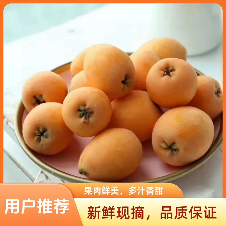 云南高原新鲜枇杷现摘当季枇杷新鲜水果儿童孕妇水果现摘顺丰包邮