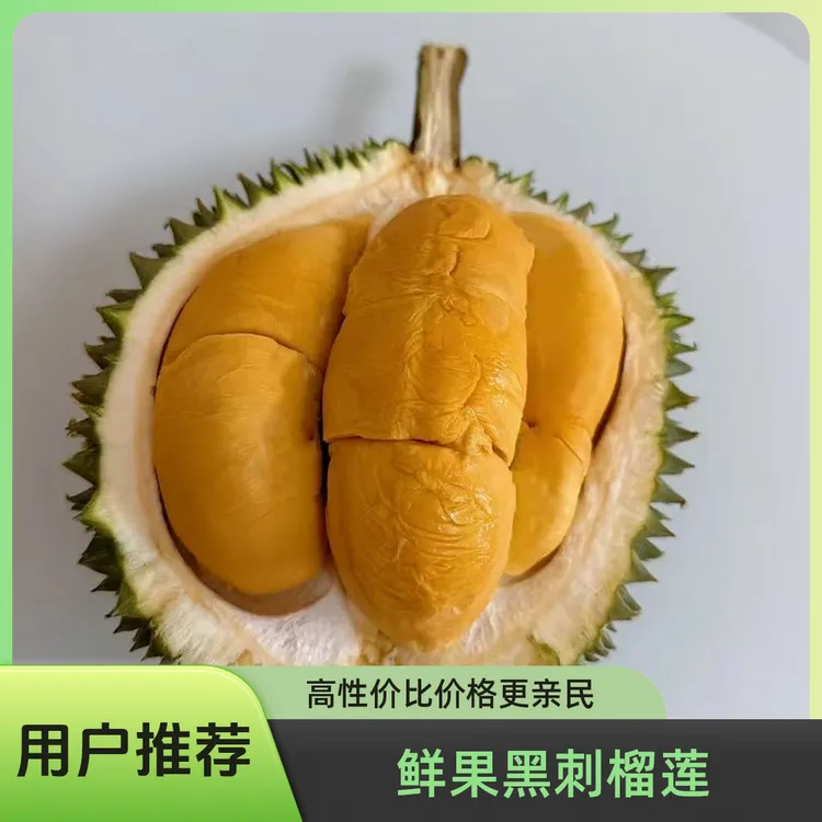 地出臻鲜马来西亚空降海南自贸港树上严选树熟榴莲果肉香糯可口