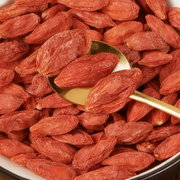 宁夏中宁头茬红枸杞免洗干货大颗粒泡茶干吃正宗宁夏枸杞中宁枸杞