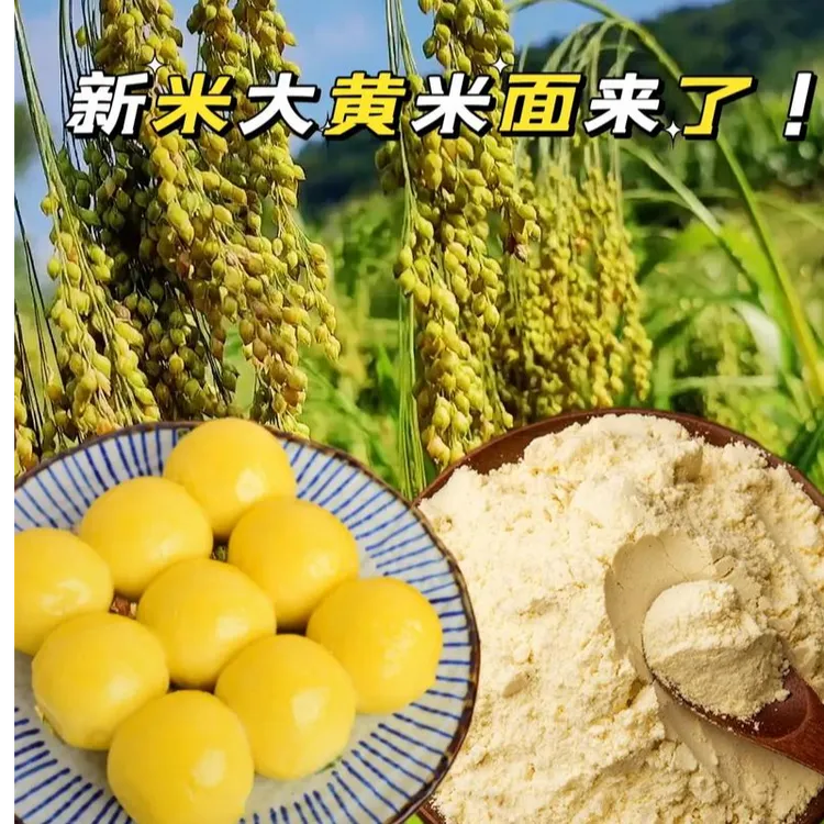 大黄米面新米磨粉香糯可口可做粽子年糕，油炸糕