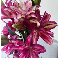 【两个老六】蕾哈娜重瓣-香水百合2单升级快递 发货后不支持退款