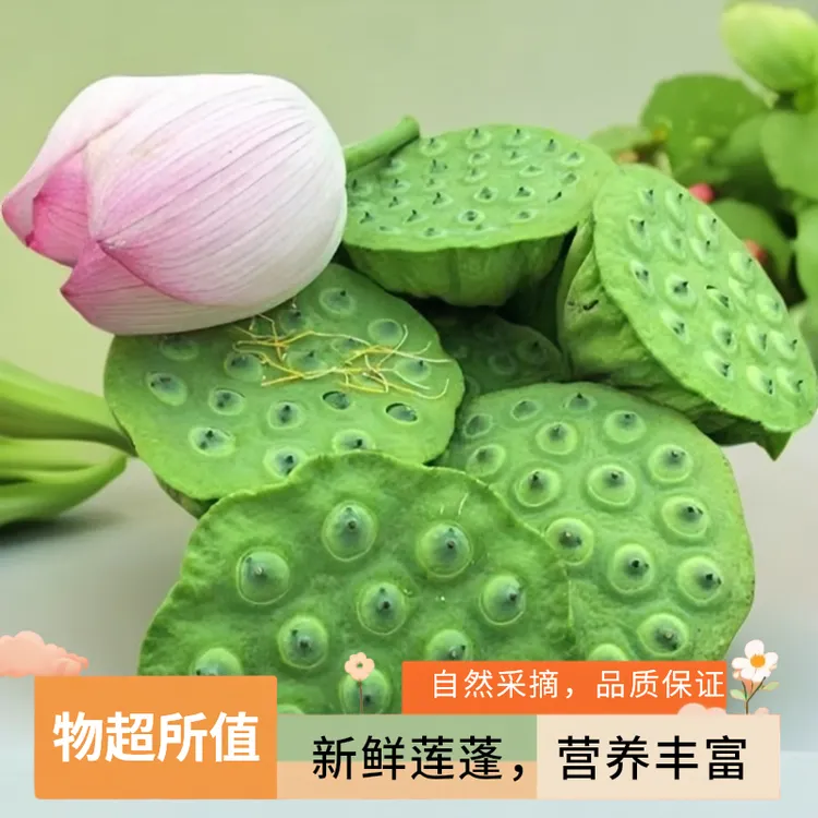 微山湖新鲜大莲蓬