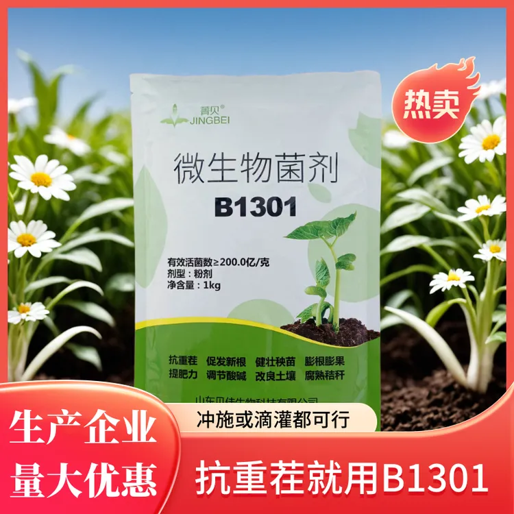 抗重茬B1301微生物菌剂根茎膨大冲施滴灌水溶肥育苗生根剂调节剂