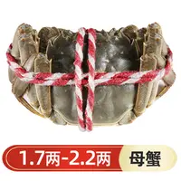 鲜活大闸蟹（母） 85-110g/只