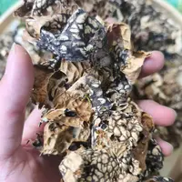 【云南特产野货肺衣】煲汤泡水