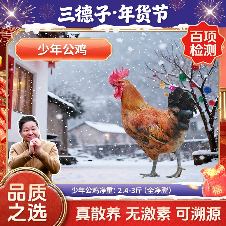 三德子 【少年公鸡1只】生态散养土鸡120天公鸡走地鸡 包冰率不含冰
