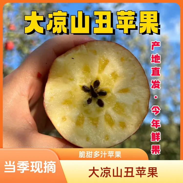 大凉山冰糖心丑苹果8斤（脆甜多汁80-85mm大果）当季现摘包邮