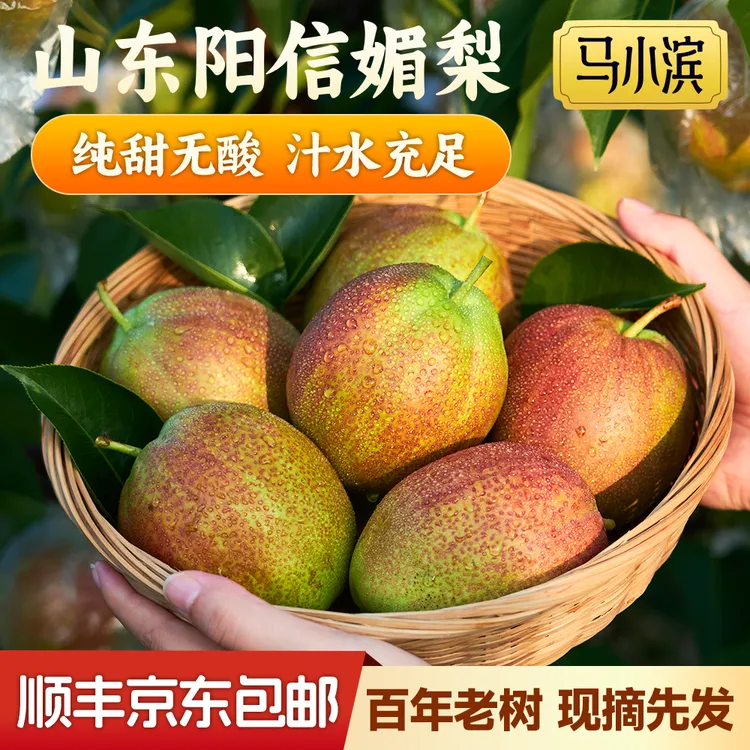【京东包邮】产地直发正宗山东阳信媚梨香梨雪梨脆甜多汁双十一囤货