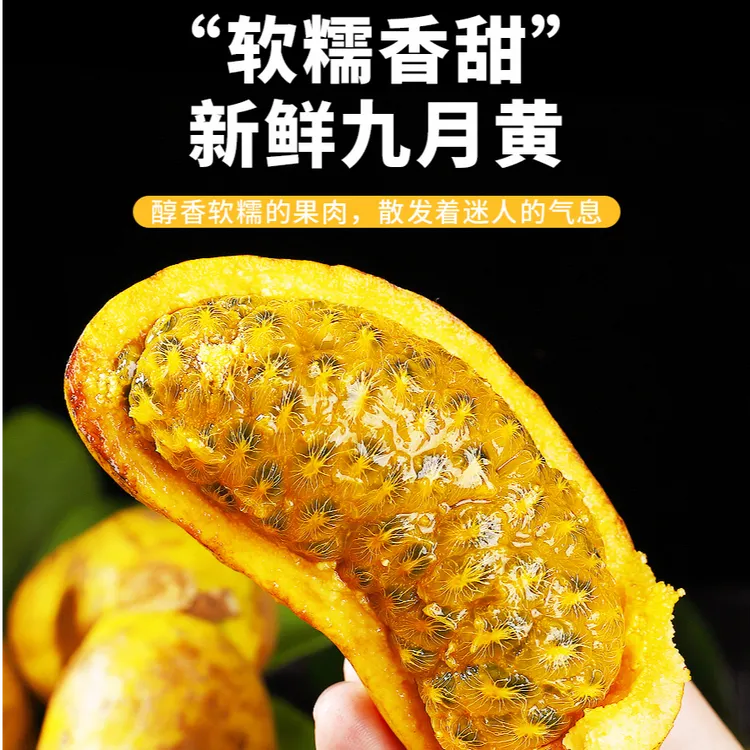 新鲜九月黄当季热带水果现摘牛卵坨八月瓜木通果特产整箱全国包邮