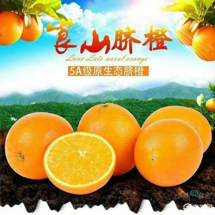 正宗湖南崀山脐橙大中小混合装（顺丰包邮）