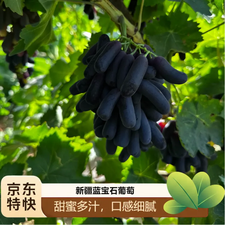 【新疆直发】正宗蓝宝石葡萄金手指美人指黑美人新鲜无籽无核脆甜