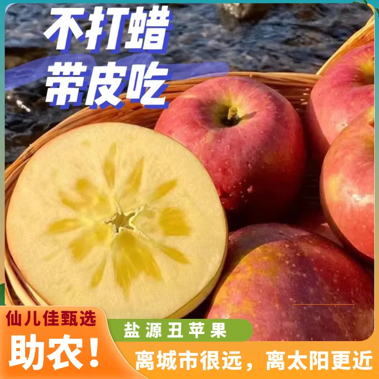 【仙儿佳甄选】送礼严选盐源特大红富士苹果营养100%产地直发