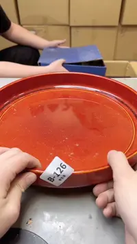 【闪购商品】瓷片126聚宝缘二号店