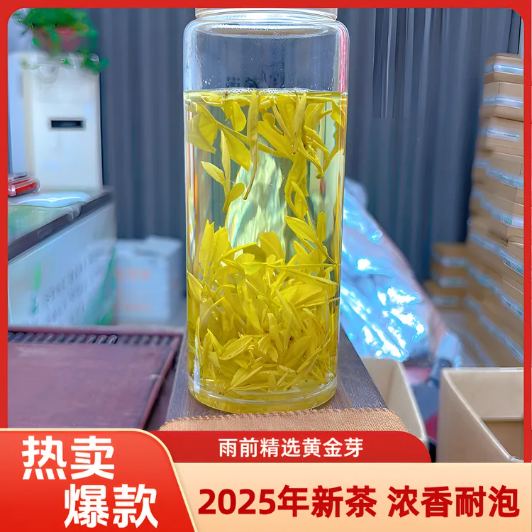 豆香型 雨前 2025黄金芽 绿茶 原产地新茶高山  H
