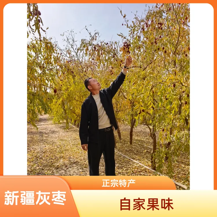 新疆灰枣正宗新疆直发原生态未清洗吊干红枣