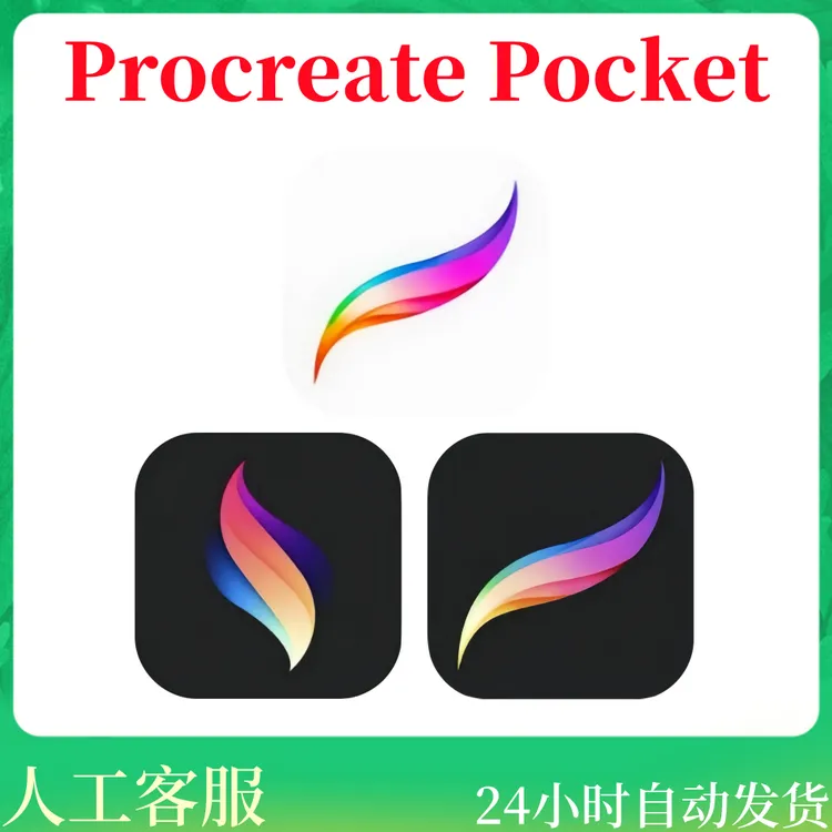 Procreate Pocket 绘画素描 正版 手机/平板/ 手游/游戏安装服务