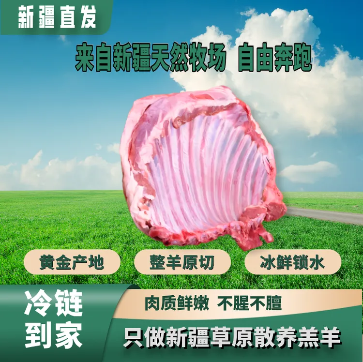 新疆牧区直供/散养/羔羊鲜羊排肋排/新鲜2-4公斤可清炖羊肉新鲜