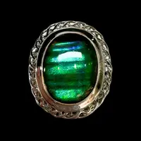  【古贝壳】23.6mm 稀有 BC 产地：加拿大 N10