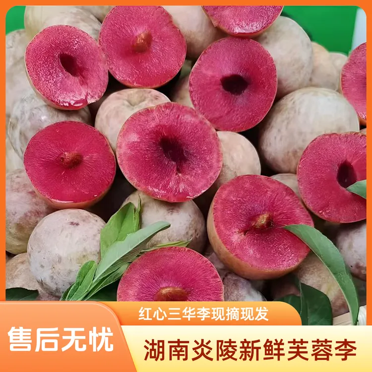 湖南炎陵芙蓉李5斤10斤包邮新鲜水果李子三华李现摘现发红心李