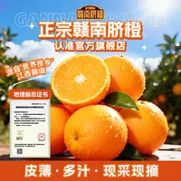 【官方正品】正宗赣南脐橙新鲜采摘营养丰富5斤10斤产地直发