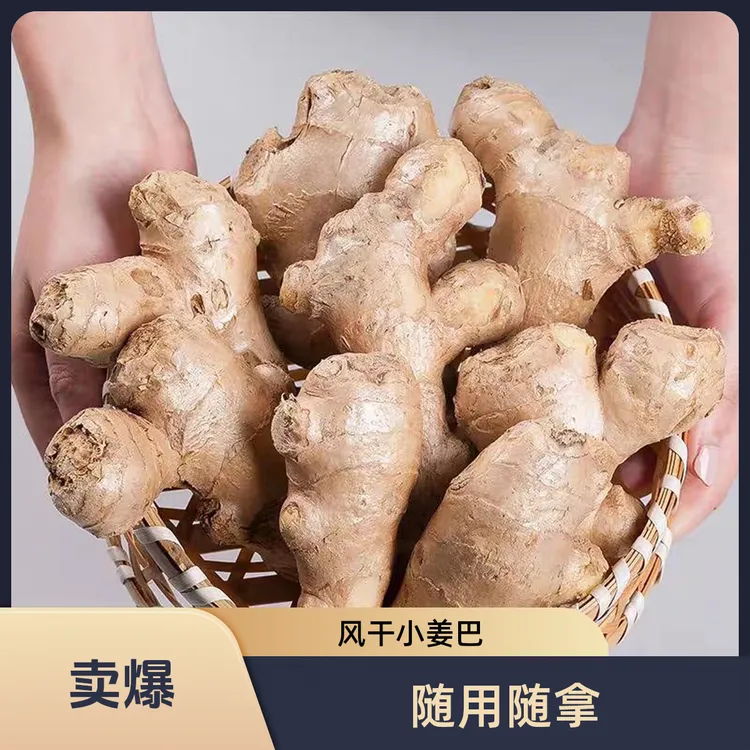 山东5斤特产风干小姜巴老姜小姜块