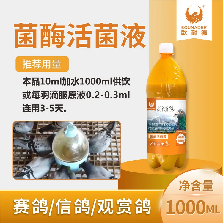 鸽子菌酶活菌液1000毫升赛鸽信鸽水绿便活菌欧耐德