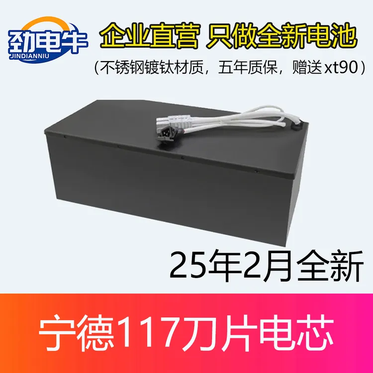 宁德52V60V72伏120安锂电池九号MZ/NZ/M/E系极核AE4AE5电动车电池