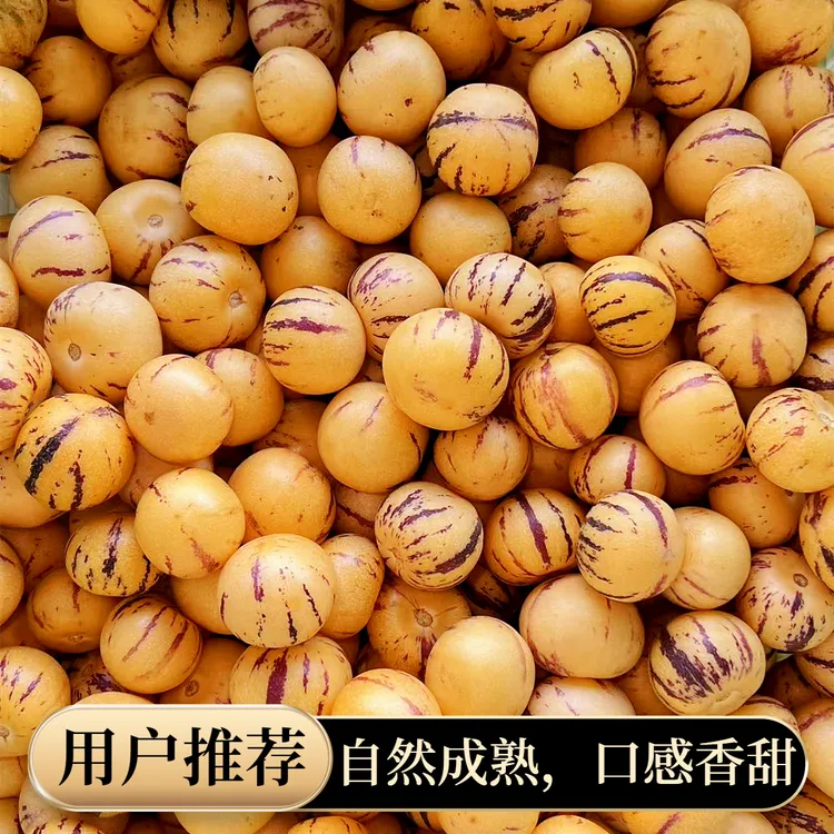 【超甜迷你果】云南人参果小果宝宝果净重4.5斤香甜多汁坏果包赔