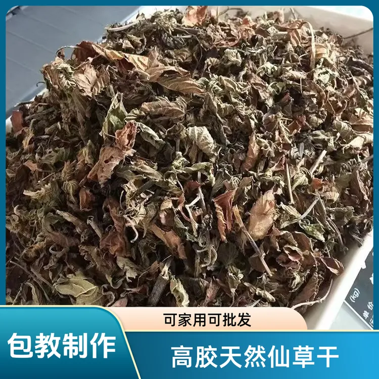 福建正宗高胶口味仙草干500克新鲜烧仙草叶子