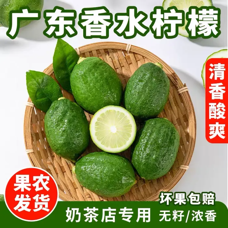 新鲜无籽香水柠檬现摘现发清香奶茶店专用青柠檬鲜果精选一级果