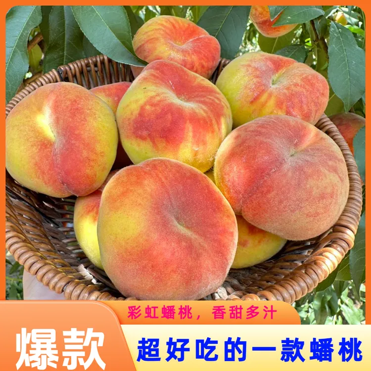 【现摘现发】陕西彩虹蟠桃4斤大果桃子新鲜水果应当季高山毛桃扁桃