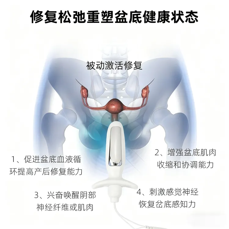 低频盆底肌修复仪阴道松弛漏尿碰壁产后腹直肌分离理疗训练康复仪