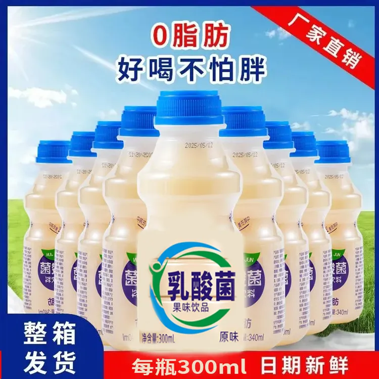 【厂家补贴340mIx12瓶乳酸菌】新鲜乳酸菌风味饮品早餐伴侣奶益生菌