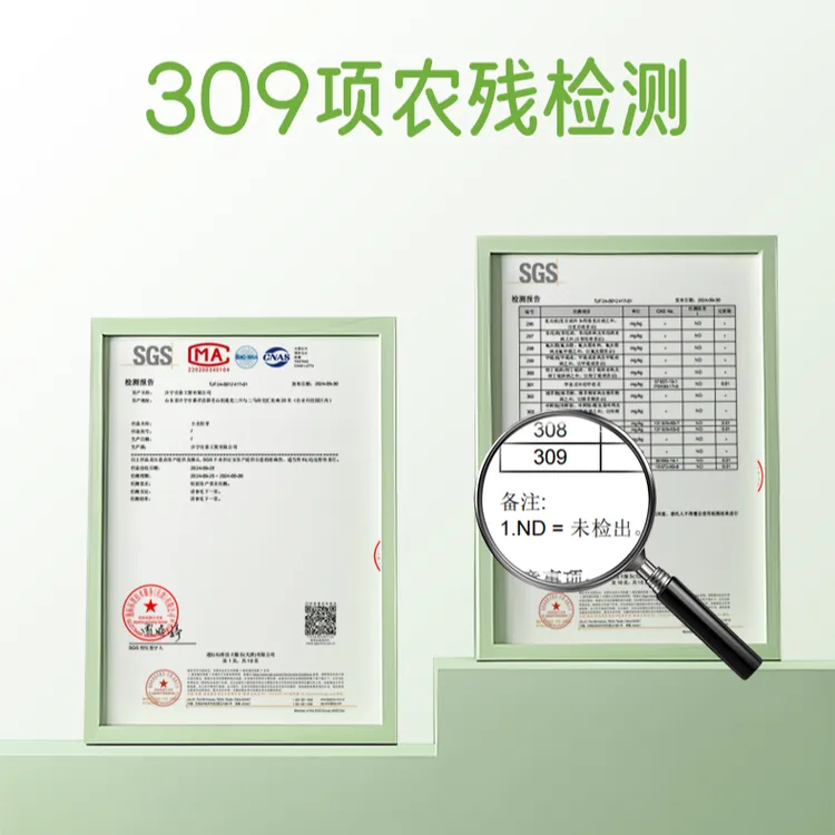 【真品保障】小麦胚芽即食高品质富硒无蔗糖健康营养早餐500g/袋 TW