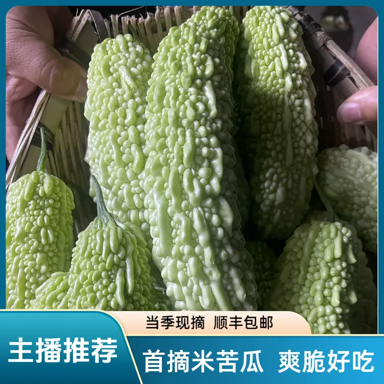 米苦瓜新鲜赣南农家白米苦瓜清凉微苦爽脆现摘现发当季顺丰包邮