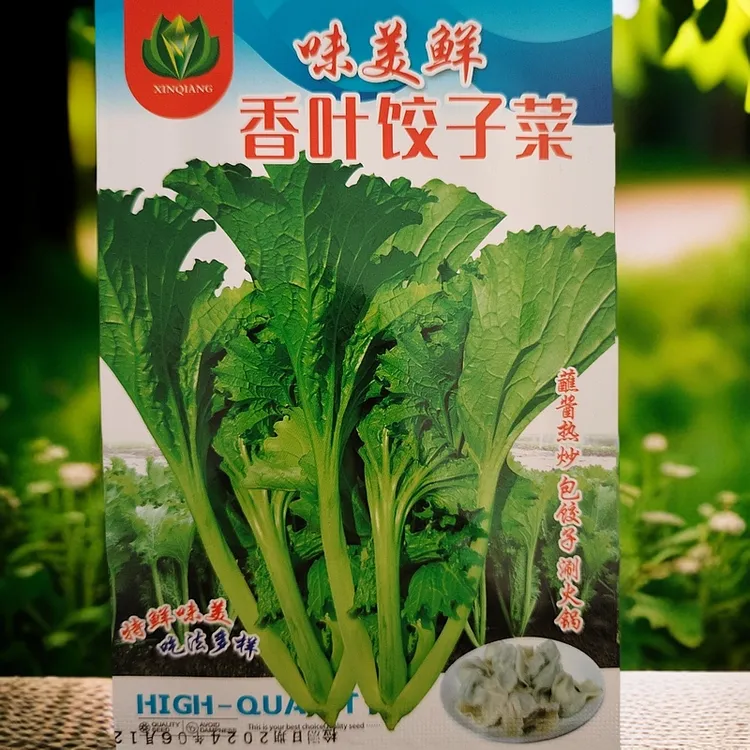 香叶饺子菜300粒左右（新老包装随机发）