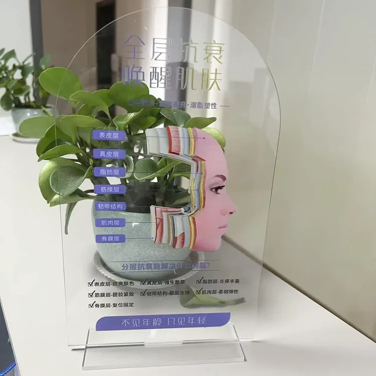 整形医美美容院分层肌肤立式亚克力透明高档摆件项目介绍桌牌立牌