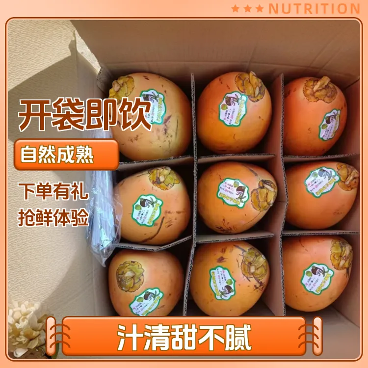 正宗海南万宁黄金椰子老椰子整箱批发孕妇椰青新鲜椰子4/6/9个装