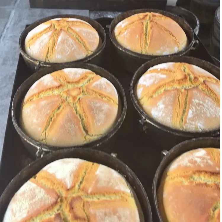 青海尕宝农家原味小焜锅拍一发二530g*1个