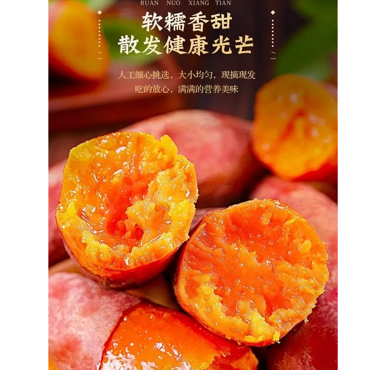 河南沙地西瓜红烤密薯宝宝薯带箱5斤