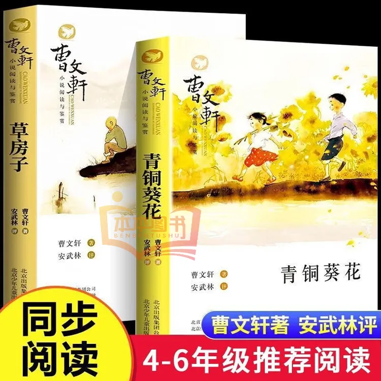 青铜葵花+草房子 曹文轩纯美小说系列全集儿童文