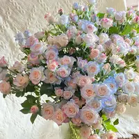  碎冰蓝折射多头玫瑰 任意2单以上发货包邮  鲜花