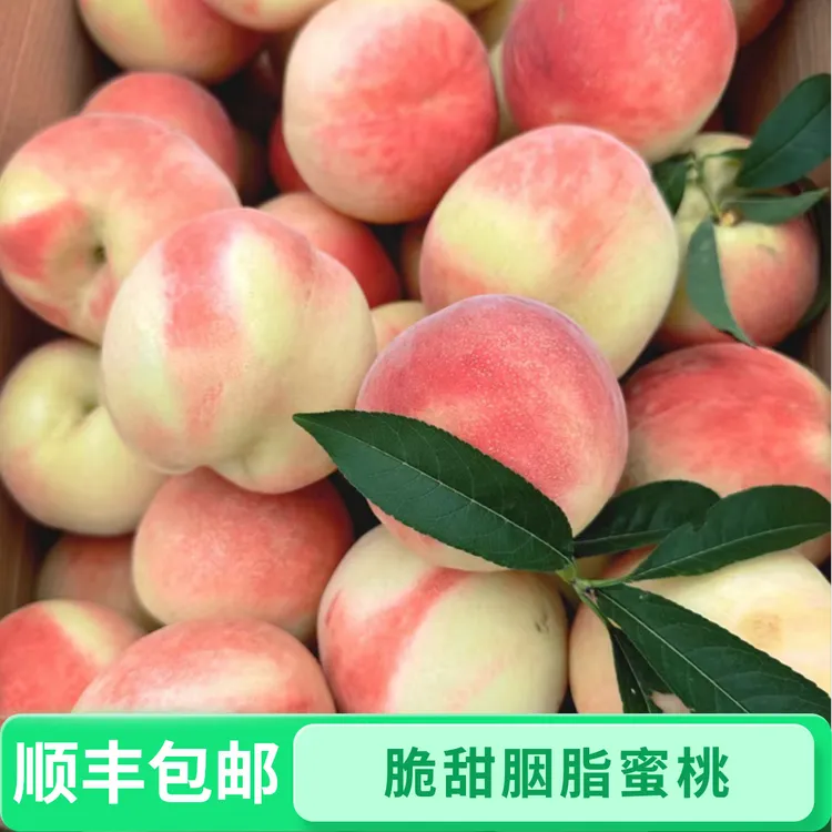 【现摘现发】产地直达山西运城脆甜放不软胭脂水蜜桃4.5斤/8.5斤